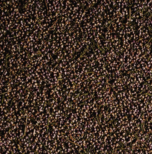 microgreen seed density featured image